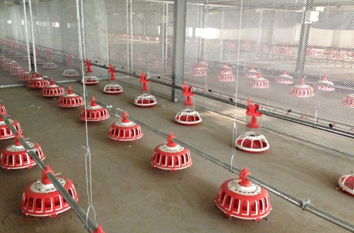 索盤(pán)環(huán)繞盤(pán)式種雞喂料系統(tǒng)